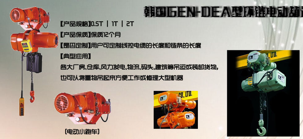韓國DEA型電動環鏈葫蘆圖