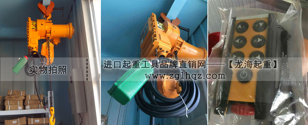 防爆環鏈電動葫蘆實物圖片